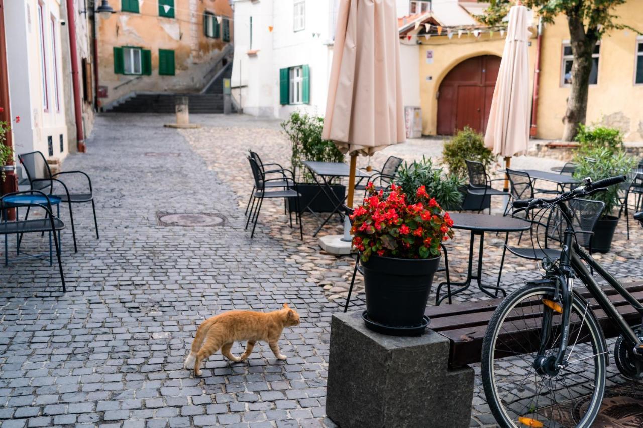Charming Studio Ideal For Getaways Or Workations In Sibiu'S Medieval City Center Εξωτερικό φωτογραφία
